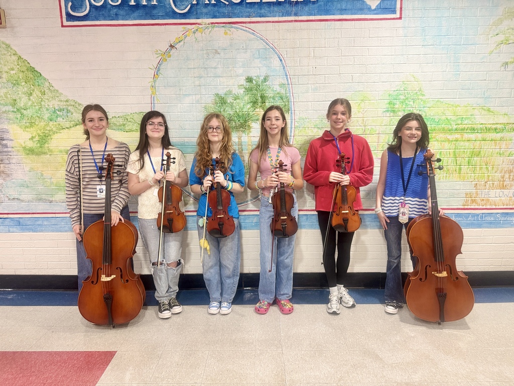 A group of young girls holding violins and cellos stand in front of a wall with a scenic backdrop.