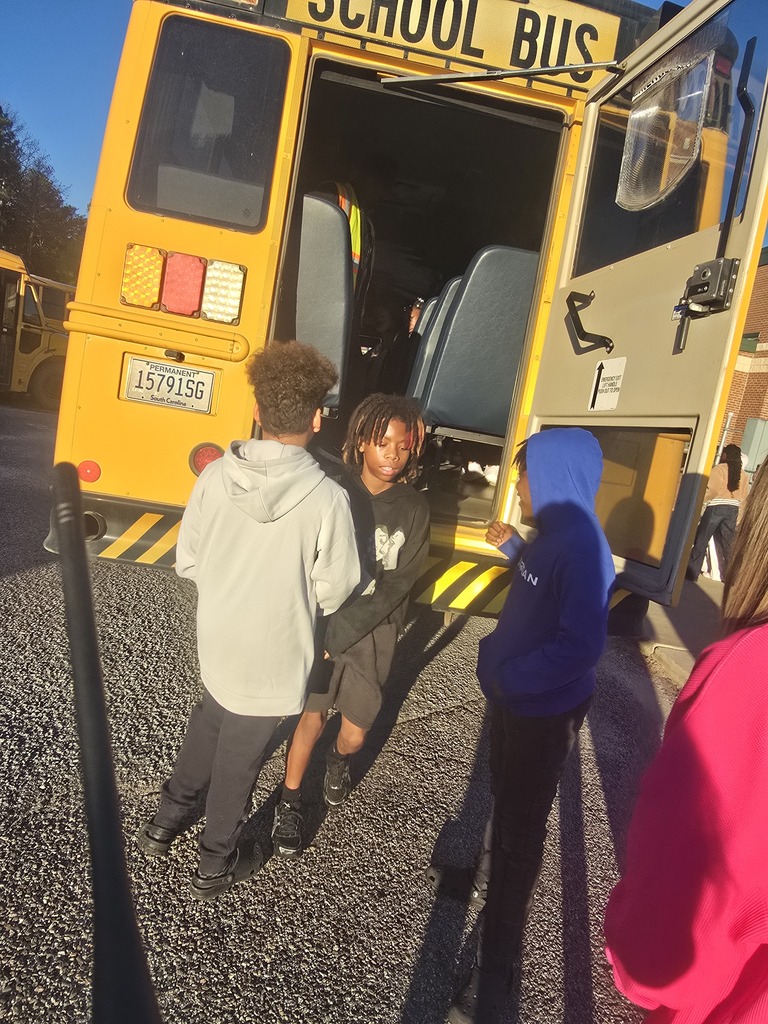 bus5
