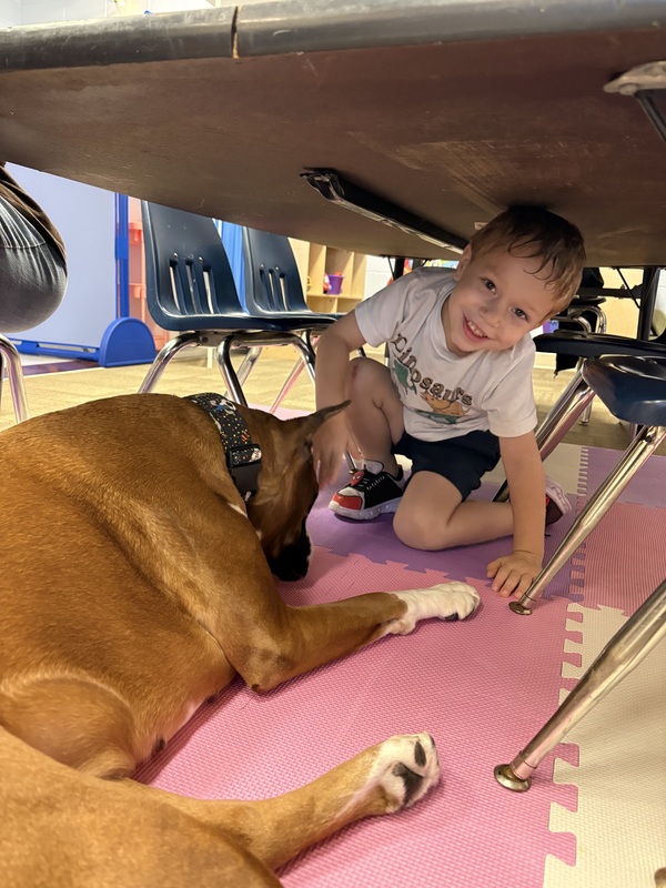 A boy is under a table with Ruby, the therapy dog.