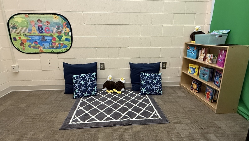 A room with a grey and white rug, floor pillows, a sensory image hangs on the wall, and a bookcase with various books.