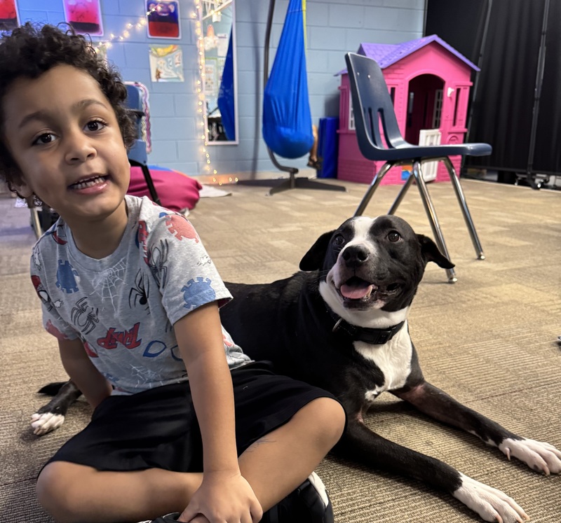 A boy sits next to Cooper, a black and white dog.