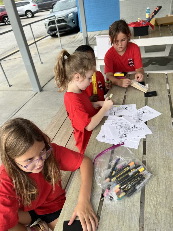 Bear Cubs at Sonic spirit night.