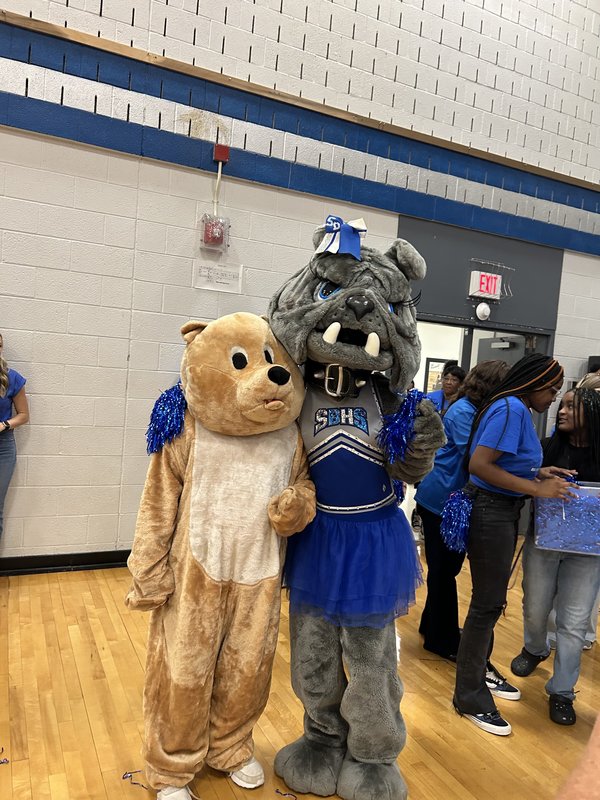 Two mascots on the court.