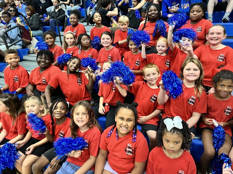 Bear cubs in bleachers.