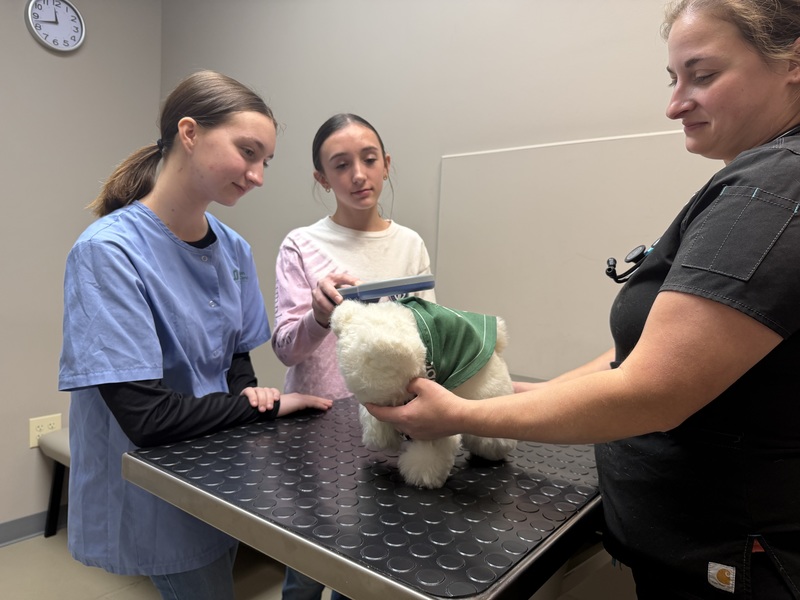 Two students practicing a vet check with a stuffed animal.