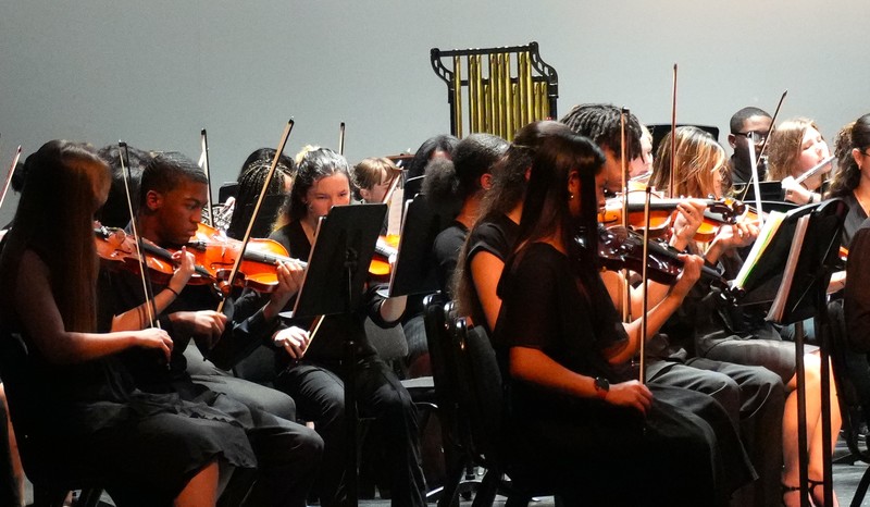 Violin and viola players perform.