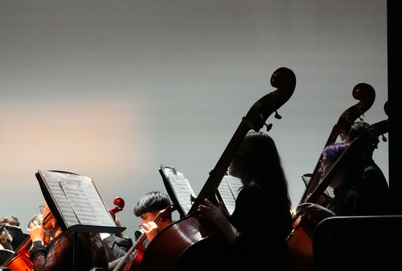 Cello players read sheet music.