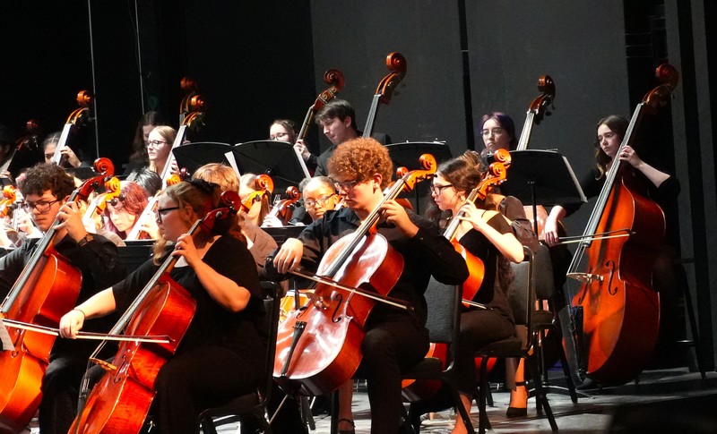 Bass and cello sections perform.