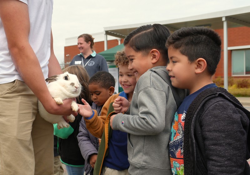 Students pet rabbit.