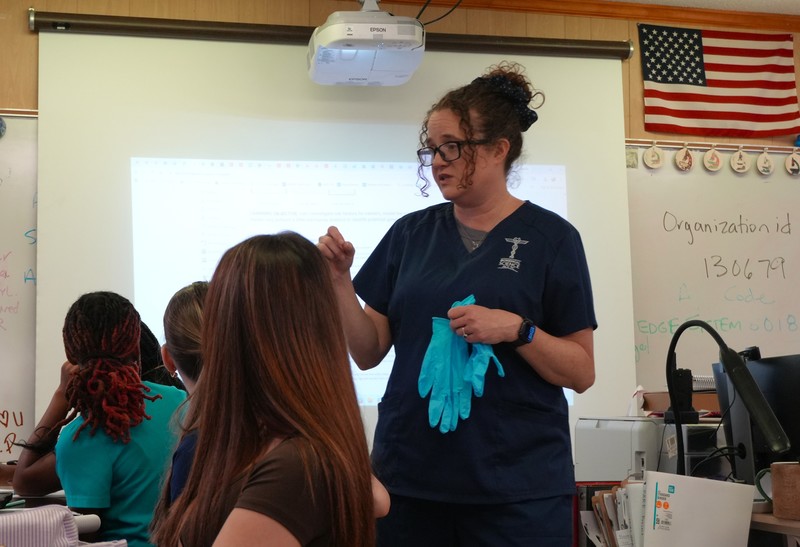 Dr. Palladino explains a lab to her students.