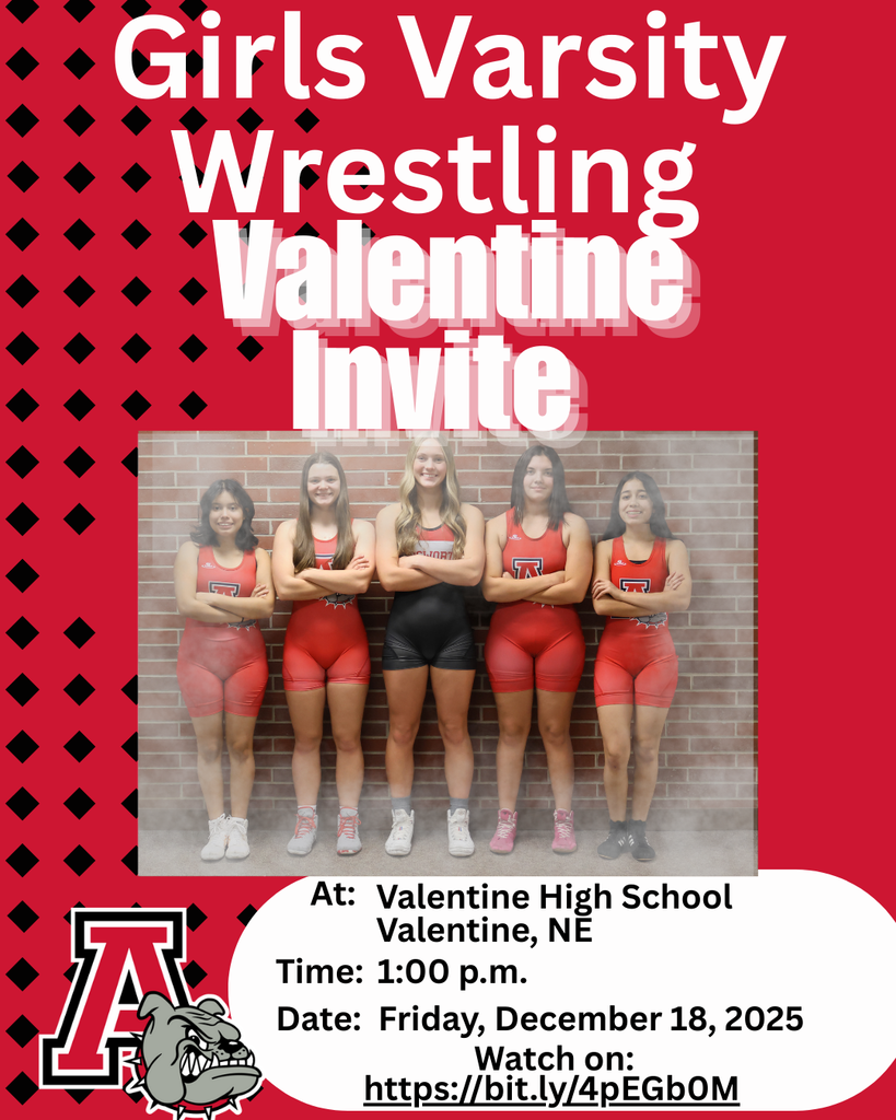 Valentine Girls Invite