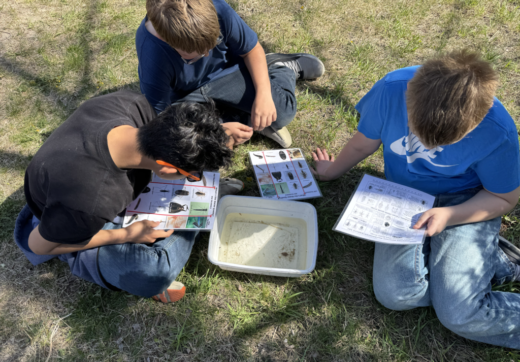 Ainsworth Community Schools