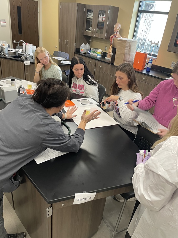 Ainsworth Community Schools