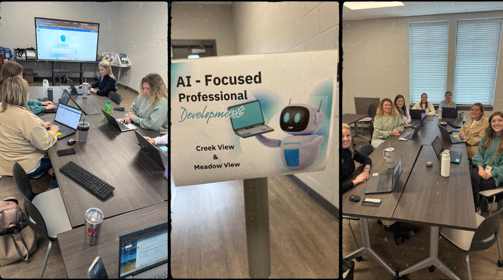 AI Professional Development