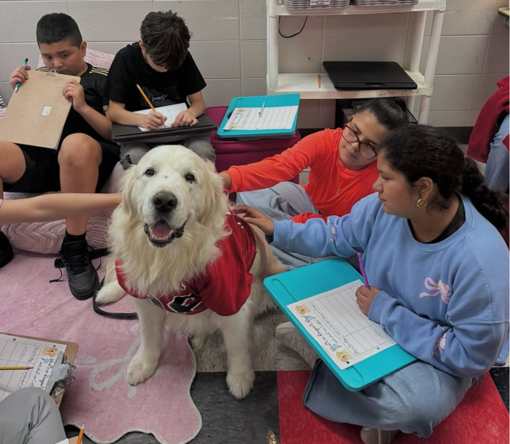 dog and students