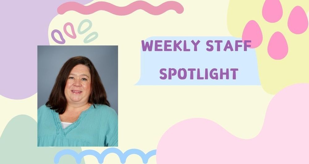 staff spotlight