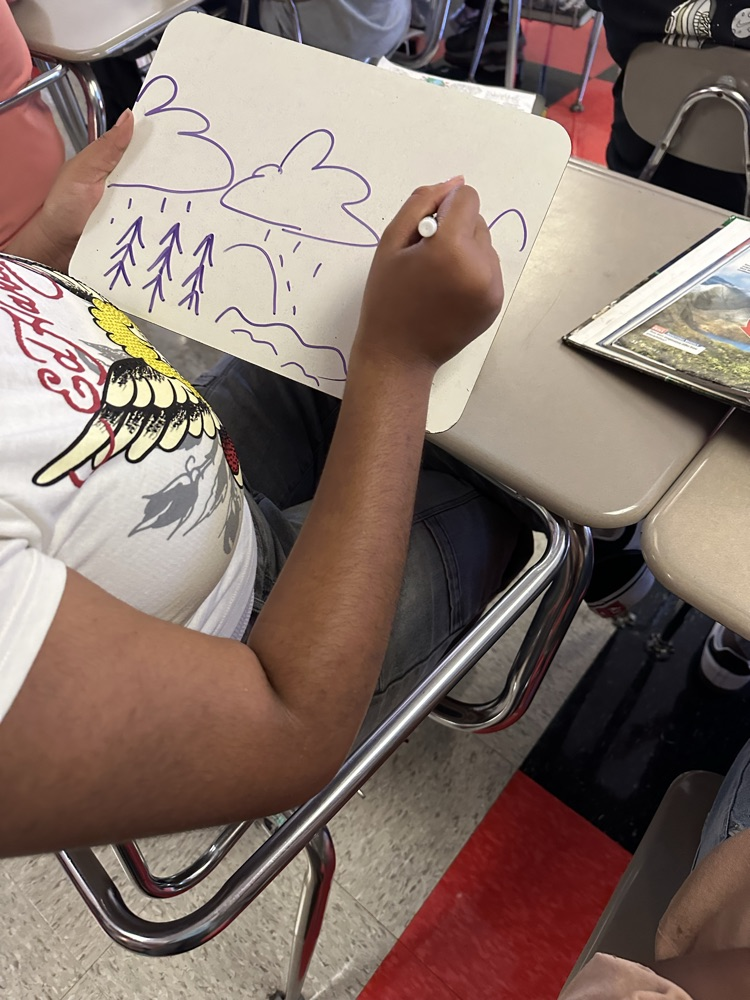 student drawing 