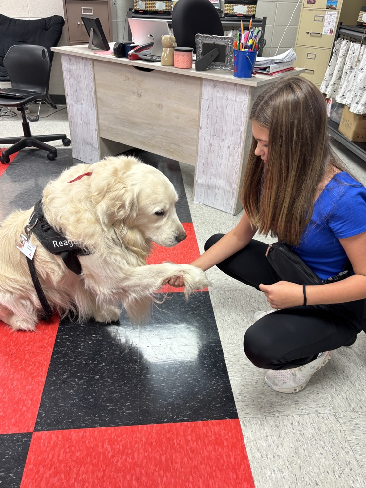 dog and student 