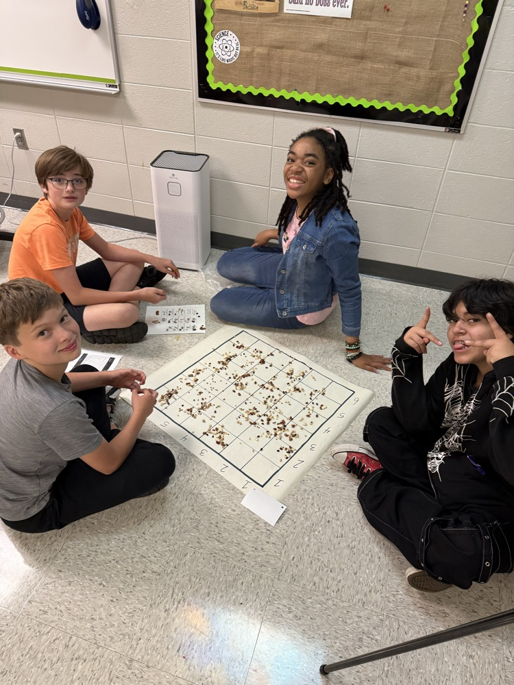students in groups