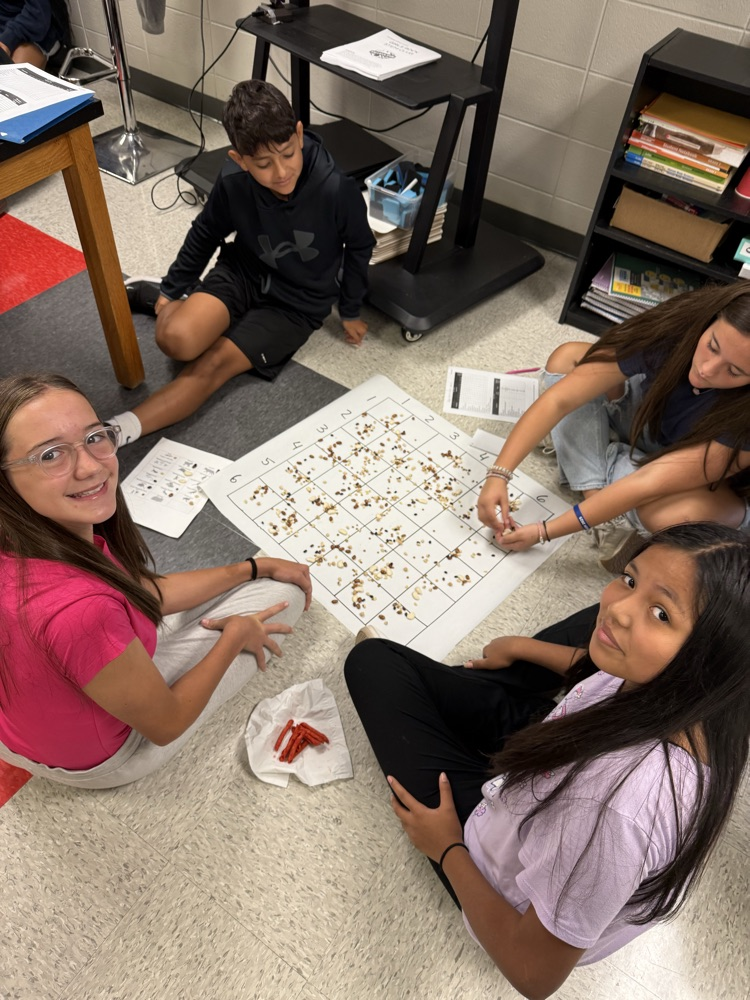 students in groups 