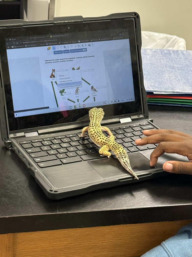 Chromebook