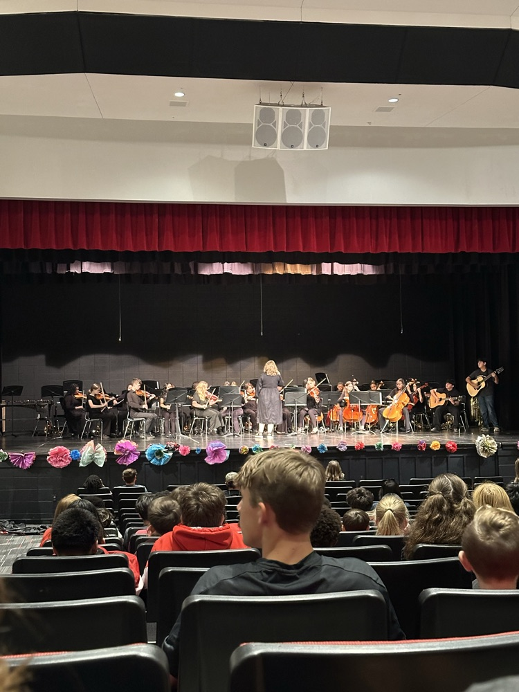 orchestra
