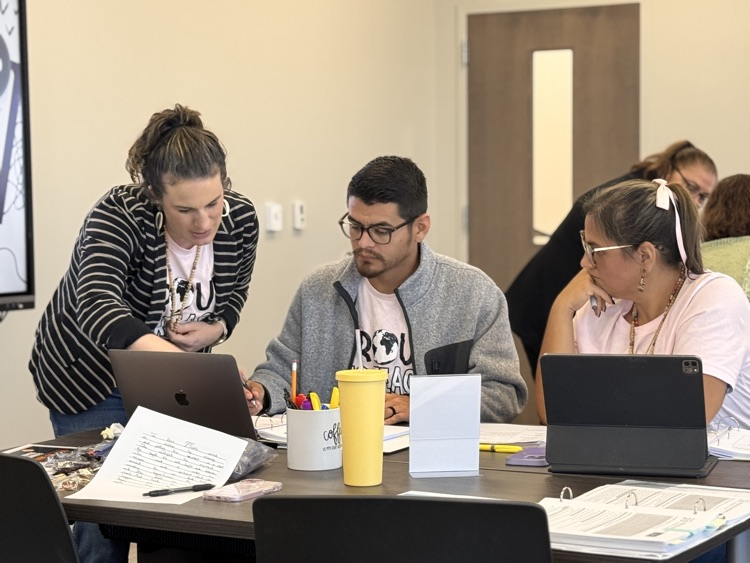 Teachers collaborating