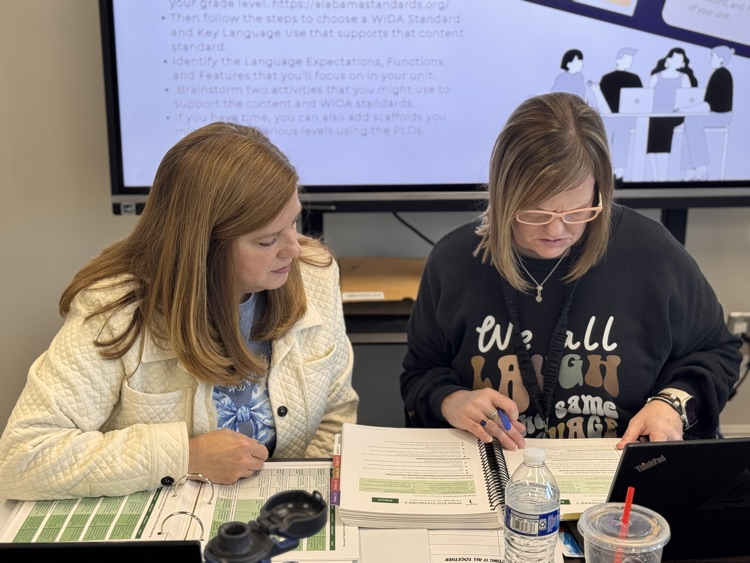 Teachers collaborating