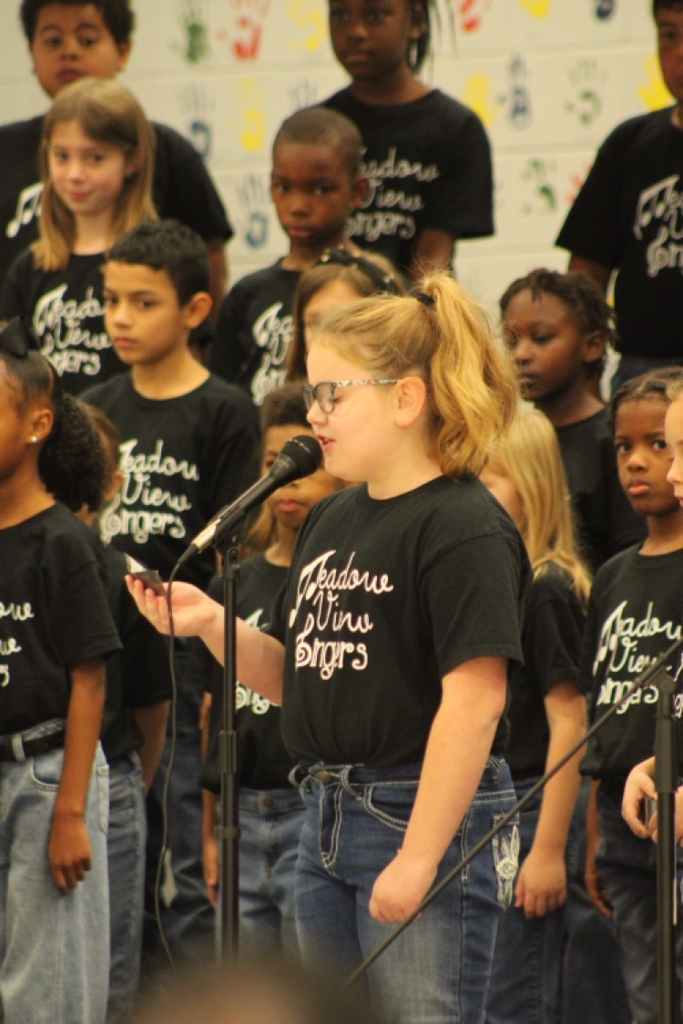 Veterans Day performance 