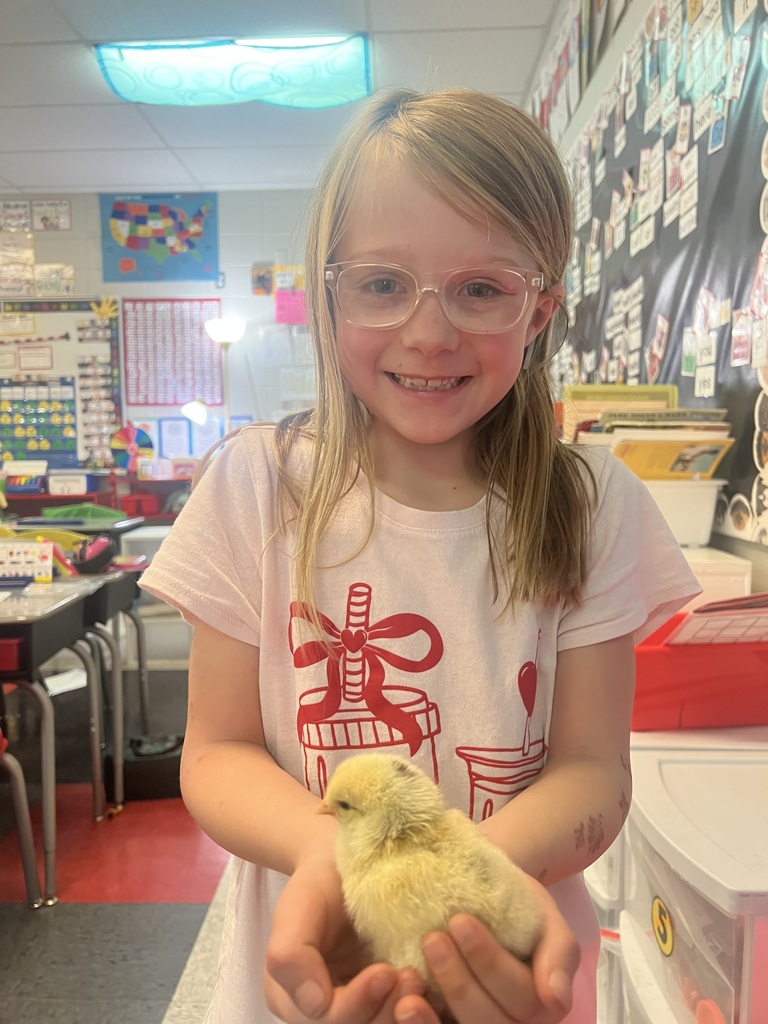 little girl holding a baby chick