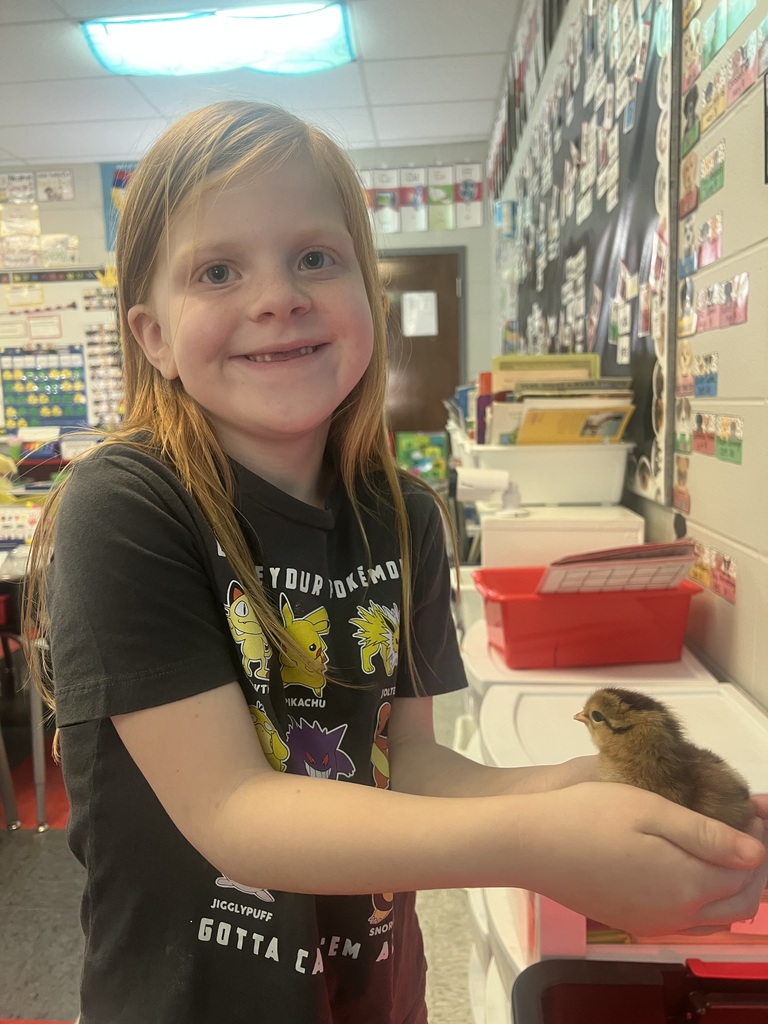 little girl holding a baby chick