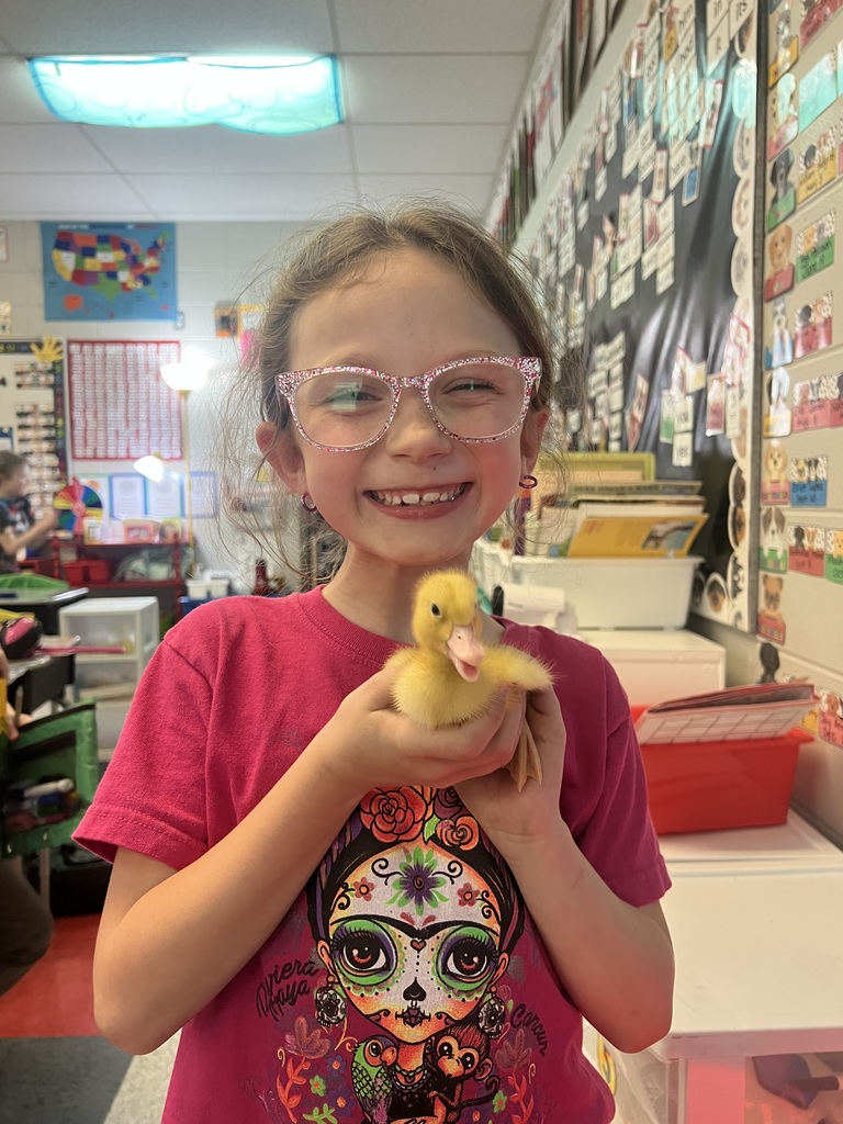 little girl holding a baby duck