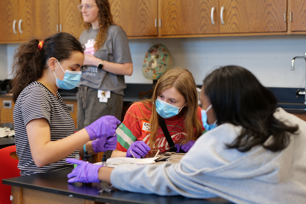 Girls Rock STEM Club