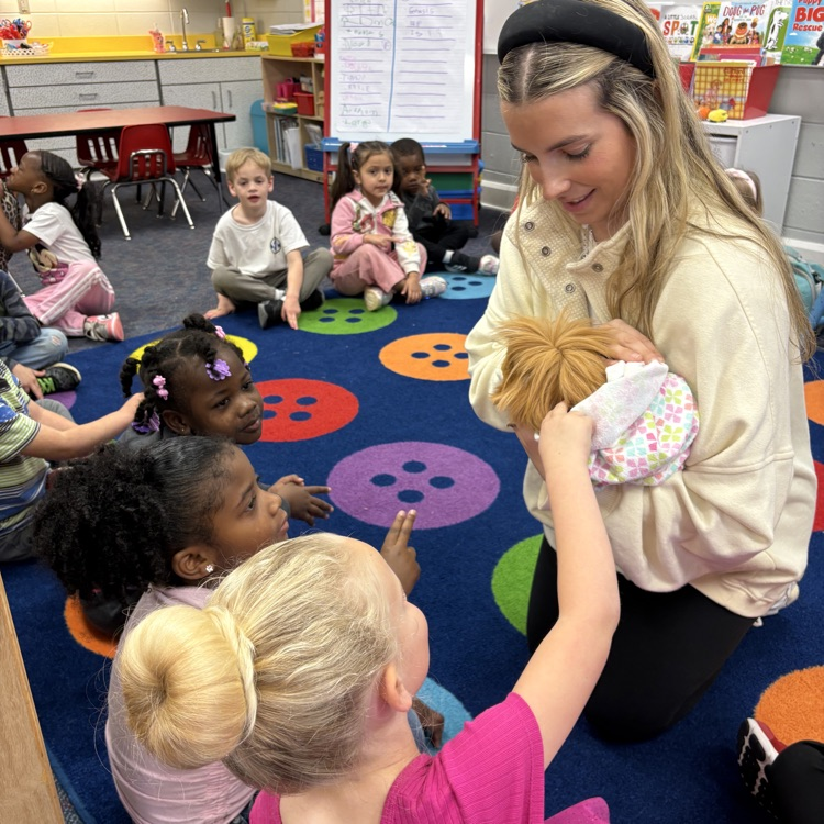 Brasfield guinea pig 