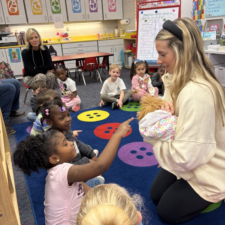 Brasfield guinea pig 