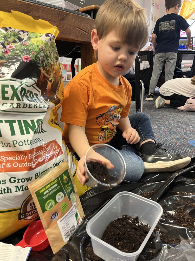 planting seeds 