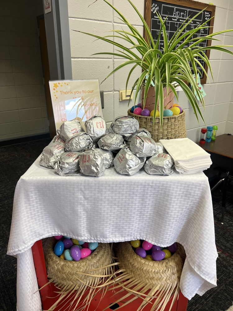 paraprofessional appreciation 