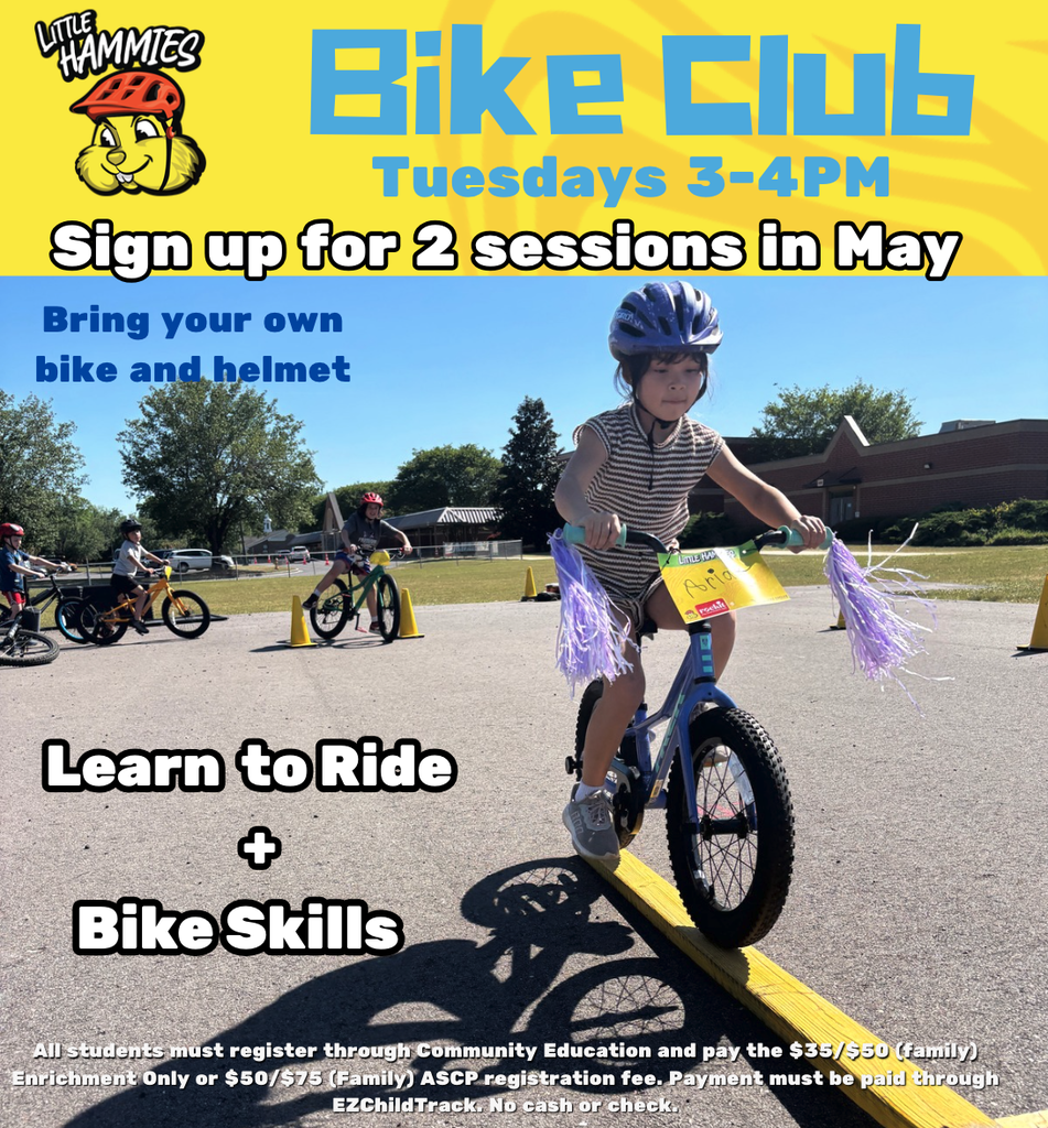 little hammies flyer