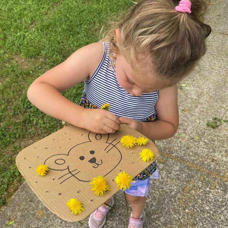 dandelions 