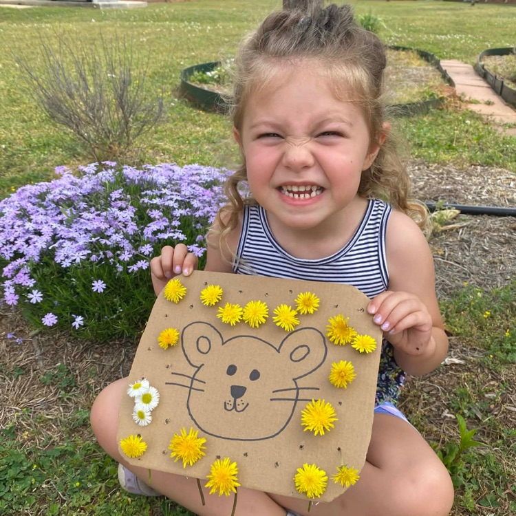 dandelions