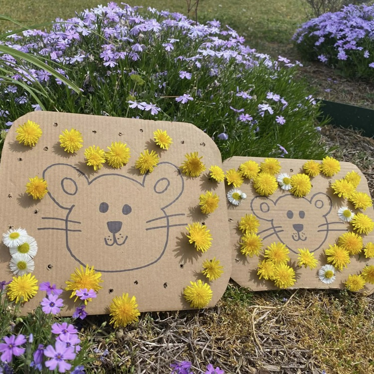 dandelions