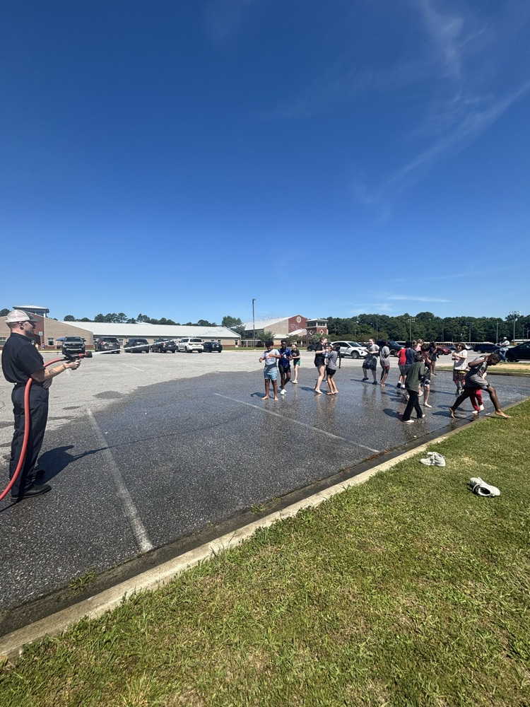 field day