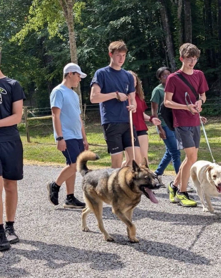students and dogs