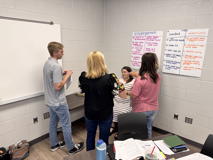 Teachers collaborating