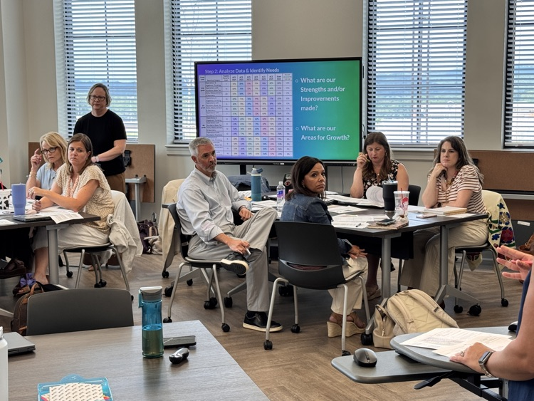 people engaging in an instructional professional development session