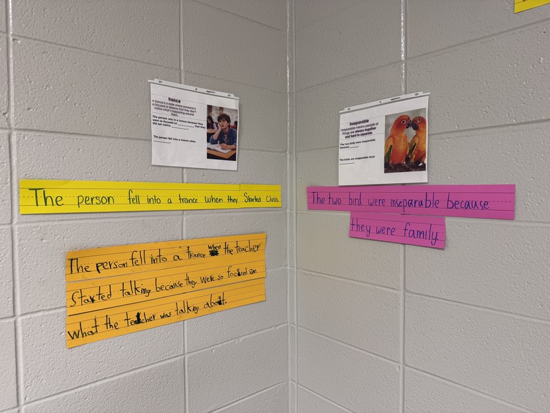 vocabulary instruction