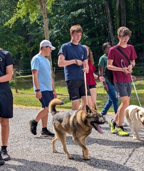 njhs10