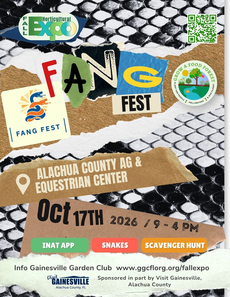 Fang Fest flyer