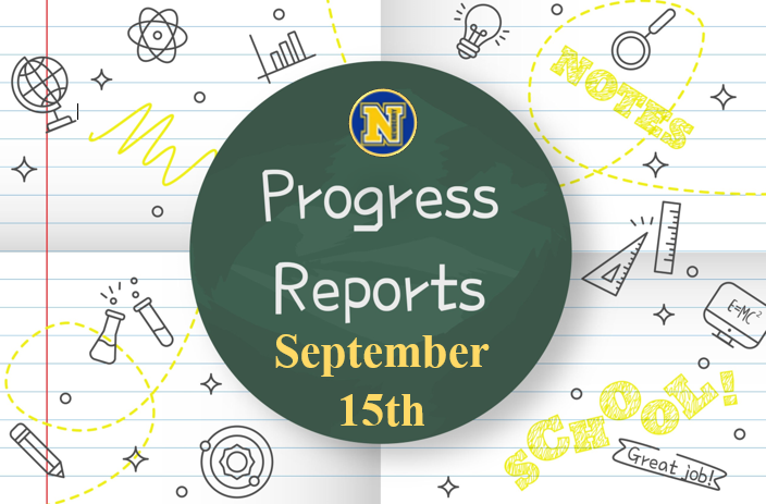 Progress reports