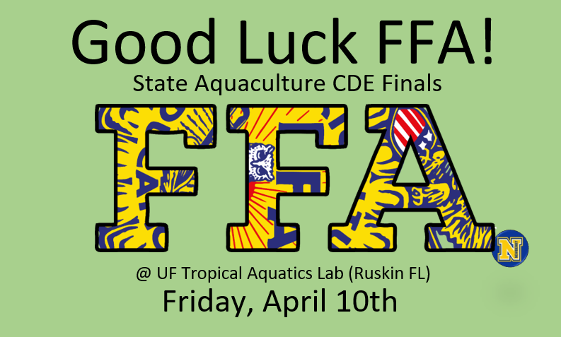 FFA competition graphic